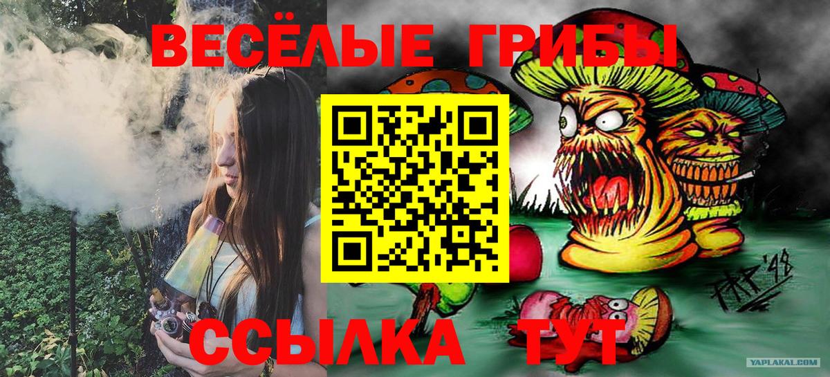 Пушкино  Псилоцибиновые грибы мухоморы  магазин  наркотиков  Вход с VPN 